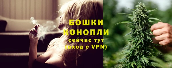 крисы Красноперекопск