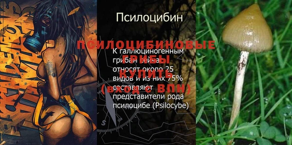 крисы Красноперекопск