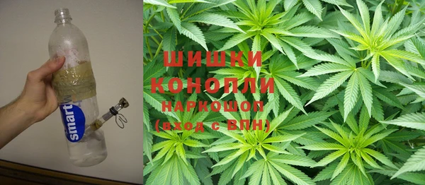крисы Красноперекопск