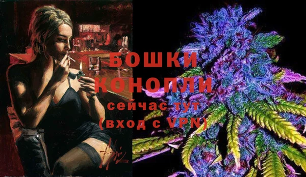 Альфа ПВП Гвардейск