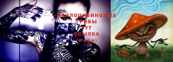 мдпв Кукмор