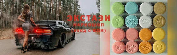 стаф Гатчина