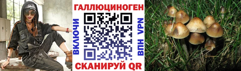 МЕГА ссылка  как найти наркотики  Красный Кут  Псилоцибиновые грибы MAGIC MUSHROOMS 